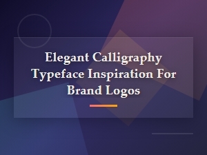 Elegant Calligraphy Typefaces for High-End Brand Logos